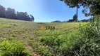 Foto 2 de Lote/Terreno à venda, 26078m² em Rondinha, Campo Largo