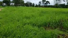 Foto 3 de Fazenda/Sítio com 4 Quartos à venda, 126m² em Zona Rural, Colinas do Sul