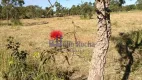 Foto 18 de Fazenda/Sítio com 5 Quartos à venda, 633m² em Setor Habitacional Jardim Botânico, Brasília