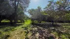 Foto 8 de Fazenda/Sítio com 8 Quartos à venda, 2700000m² em Coxipó do Ouro, Cuiabá