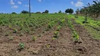 Foto 10 de Fazenda/Sítio à venda, 14000m² em , Rio do Fogo