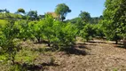 Foto 35 de Fazenda/Sítio com 4 Quartos à venda, 250m² em Bateias, Campo Largo