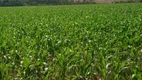 Foto 4 de Fazenda/Sítio à venda em Zona Rural, Santa Cruz de Goiás