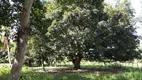 Foto 15 de Fazenda/Sítio à venda, 53000m² em Zona Rural, Areia Branca