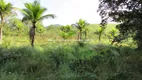 Foto 31 de Fazenda/Sítio com 3 Quartos à venda, 871200m² em Maraporã, Cachoeiras de Macacu