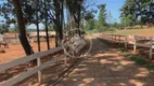 Foto 8 de Fazenda/Sítio à venda, 148m² em ZONA RURAL, Pires do Rio