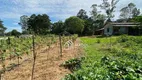 Foto 13 de Fazenda/Sítio com 2 Quartos à venda, 35m² em Colonia Dona Luiza, Ponta Grossa