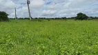 Foto 12 de Fazenda/Sítio com 4 Quartos à venda, 205000m² em Centro, Bom Jesus