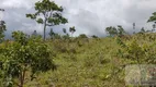 Foto 9 de Fazenda/Sítio com 3 Quartos à venda, 18m² em Zona Rural, Cocalzinho de Goiás