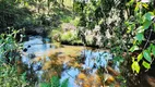 Foto 11 de Fazenda/Sítio com 4 Quartos à venda, 65000m² em Zona Rural, Cachoeiras de Macacu