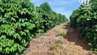 Foto 3 de Fazenda/Sítio à venda, 3000000m² em Centro, Divisa Nova