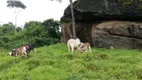 Foto 7 de Fazenda/Sítio à venda, 10m² em Centro, Silvânia