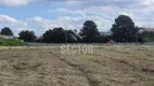 Foto 7 de Lote/Terreno para alugar, 10000m² em Colônia Murici, São José dos Pinhais