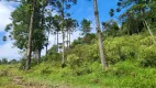 Foto 43 de Fazenda/Sítio com 5 Quartos à venda, 435600m² em Campo Alto, Tijucas do Sul