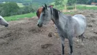 Foto 43 de Fazenda/Sítio com 2 Quartos à venda, 100m² em Zona Rural, Angatuba