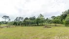 Foto 46 de Fazenda/Sítio com 3 Quartos à venda, 230m² em Botiatuva, Campo Largo