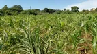 Foto 25 de Fazenda/Sítio com 4 Quartos à venda, 120000m² em Area Rural de Ceilandia, Brasília