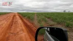 Foto 4 de Fazenda/Sítio à venda, 25200000m² em Setor Central, Conceição do Tocantins