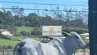 Foto 19 de Fazenda/Sítio à venda, 1000m² em Fonte Limpa, Araruama