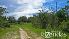 Foto 16 de Fazenda/Sítio com 10 Quartos à venda, 838m² em Zona Rural, Conceição do Tocantins