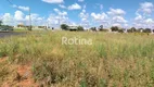 Foto 6 de Lote/Terreno à venda, 300m² em Novo Mundo, Uberlândia