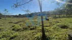 Foto 54 de Fazenda/Sítio com 3 Quartos à venda, 200m² em Santo Antônio dos Campos, Divinópolis