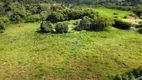 Foto 9 de Fazenda/Sítio com 1 Quarto à venda, 10000m² em Capim Fino, São Pedro