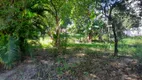 Foto 4 de Lote/Terreno à venda, 720m² em Santa Rita, Nova Iguaçu