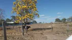 Foto 56 de Fazenda/Sítio com 4 Quartos à venda, 700m² em Zona Rural, Padre Bernardo