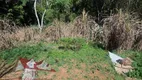 Foto 4 de Fazenda/Sítio com 2 Quartos à venda, 4400m² em Zona Rural, Mandirituba