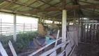 Foto 82 de Fazenda/Sítio com 1 Quarto à venda, 150000m² em Rural, Extrema