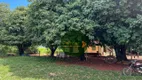 Foto 5 de Fazenda/Sítio à venda, 500m² em Zona Rural, Bom Jardim de Goiás