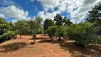 Foto 29 de Fazenda/Sítio com 2 Quartos à venda, 3000m² em , Prudente de Morais