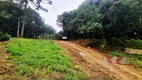 Foto 26 de Fazenda/Sítio com 1 Quarto à venda, 5000m² em Faxina, São José dos Pinhais