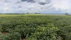 Foto 4 de Fazenda/Sítio com 2 Quartos à venda, 6300000m² em Area Rural de Araxa, Araxá