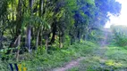 Foto 5 de Fazenda/Sítio à venda, 7000m² em Colônia Balbino Cunha, Campo Largo