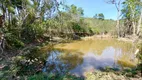 Foto 34 de Fazenda/Sítio com 3 Quartos à venda, 95000m² em Centro, Caeté