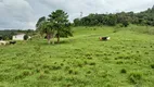 Foto 8 de Fazenda/Sítio com 2 Quartos à venda, 80000m² em Centro, Alfredo Wagner