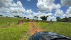 Foto 6 de Fazenda/Sítio com 3 Quartos à venda, 19263200m² em Centro, Campina Verde