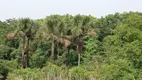 Foto 15 de Fazenda/Sítio com 15 Quartos à venda, 530000m² em Area Rural do Paranoa, Brasília