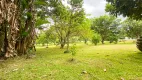 Foto 8 de Fazenda/Sítio com 5 Quartos à venda, 6000m² em Moura, Canelinha