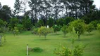 Foto 5 de Fazenda/Sítio com 3 Quartos à venda, 400m² em Vieira, Teresópolis