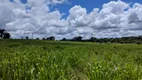 Foto 12 de Fazenda/Sítio com 3 Quartos à venda, 3750000m² em Centro, São Miguel do Guamá