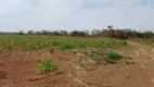 Foto 10 de Fazenda/Sítio com 1 Quarto à venda, 1649300m² em Area Rural do Paranoa, Brasília