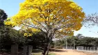 Foto 19 de Fazenda/Sítio com 2 Quartos à venda, 197m² em Centro, Brotas