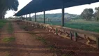 Foto 11 de Fazenda/Sítio com 4 Quartos à venda, 1669800m² em Area Rural de Itapetininga, Itapetininga