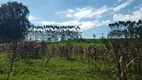 Foto 7 de Fazenda/Sítio com 3 Quartos à venda, 150m² em Zona Rural, Quadra