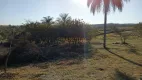 Foto 4 de Lote/Terreno à venda, 20000m² em Jardim Del Alamo, Artur Nogueira