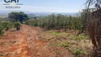 Foto 12 de Fazenda/Sítio com 4 Quartos à venda, 400m² em Zona Rural, Espírito Santo do Pinhal