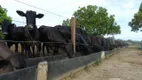 Foto 9 de Fazenda/Sítio com 3 Quartos à venda, 400m² em Centro, Miracema do Tocantins